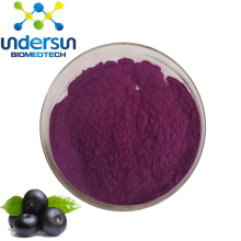 Undersun Supply Antioxidants Food Grade Bilberry Fruit Powder